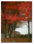 Фото #1 товара Maple Tree Walk Gallery-Wrapped Canvas Wall Art - 16" x 20"
