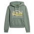 Фото #1 товара SUPERDRY Puff Print Vl Graphic hoodie