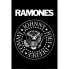 Фото #1 товара PYRAMID Ramones Logo Poster