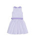 Фото #3 товара Girls' Peter Pan Collar Seersucker Dress, Toddler