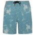 Фото #2 товара PROTEST Ahe Swimming Shorts