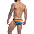 Фото #2 товара C4M01 Low Rise Bikini Brief Rainbow