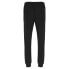 Фото #2 товара RUSSELL ATHLETIC AMP A30061 Tracksuit Pants