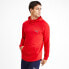 Фото #1 товара [580332-11] Mens Puma EVOSTRIPE HOODY