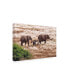 Izonevision Robert D Abramson Elephant Family Tanzania Canvas Art - 20" x 25"
