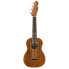 Fender Zuma Concert Uke