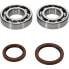 Фото #1 товара All BALLS 24-1123 Beta RR Crank Shaft Bearing Kit