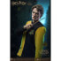 Фото #5 товара HARRY POTTER And The Goblet Of Fire Cedric Diggory Deluxe Figure