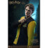 HARRY POTTER And The Goblet Of Fire Cedric Diggory Deluxe Figure