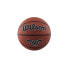 Wilson Outdoor Streetball