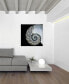 Фото #3 товара Pearly Nautilus Frameless Free Floating Tempered Glass Panel Graphic Wall Art, 36" x 36" x 0.2"