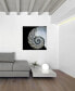 Pearly Nautilus Frameless Free Floating Tempered Glass Panel Graphic Wall Art, 36" x 36" x 0.2"