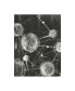 Фото #1 товара Ethan Harper Molecular Fusion I Canvas Art - 20" x 25"