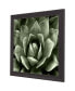 Фото #2 товара Green Succulent II Framed Art
