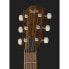 Taylor American Dream AD22e SEB