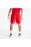 Фото #5 товара Шорты мужские Nike Jordan Brooklyn Fleece