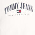 Фото #4 товара Tommy Hilfiger Tommy Jeans Hoodie