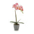 Фото #2 товара Декоративное растение Орхидея Пластик 13 x 39 x 22 cm (6 штук)