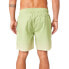 RIP CURL Alcion Volley Swimming Shorts