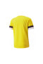 Фото #2 товара 704932 Teamrise Jersey T-shirt Dry-cell Erkek Tişört Sarı