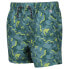 REGATTA Skander II Swimming Shorts