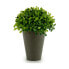 Фото #2 товара Искусственное растение Ibergarden Декоративное Пластик 13 x 16 x 13 см Зелено-серое (12 штук)
