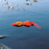 Trixie Kaczka pływająca, polyester, 50 cm