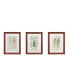 Фото #1 товара Martha Stewart Lady Fern Collection Single Mat Framed Graphic 3-Pc Set