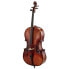 Фото #1 товара Scala Vilagio L.V. Montagnana Cello 4/4