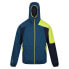 Фото #3 товара REGATTA Tarvos VII softshell jacket