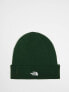 Фото #1 товара The North Face Norm beanie in pine green