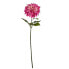 Фото #2 товара Декоративный цветок Георгин Фуксия 16 x 74 x 16 cm (6 штук)