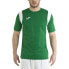 Фото #2 товара JOMA Dinamo short sleeve T-shirt