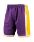 Men's Purple Los Angeles Lakers 1984 Hardwood Classics 75th Anniversary Swingman Shorts