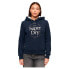 Фото #1 товара SUPERDRY Luxe Metallic Logo hoodie