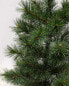 Фото #2 товара Weihnachtsbaum Glendon