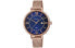 Фото #1 товара Часы CASIO SHEEN SHE-4059PGM-2AU Elegant Rose Gold Blue Display