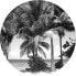 Фото #1 товара selbstklebende runde Tapete tropische La