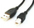 Фото #2 товара Кабель USB Gembird CCP-USB2-AMBM-6 - 1.82 м - USB A - USB B - Черный