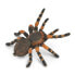 Фото #1 товара COLLECTA Red Rings Tarantula Figure