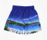 Фото #4 товара Blueport 155058 Men's Exclusive Ibiza/ Beach Print Swim Trunks Size Small