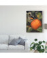 Фото #3 товара Marcia Matcham Oriole and Pumpkin Canvas Art - 20" x 25"