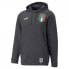 Фото #1 товара Puma Figc Ftbl Coulture Hoody M 767136-09