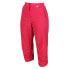 Фото #3 товара REGATTA Chaska II 3/4 Pants