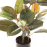 Decorative Plant PVC Iron Fig Tree 36 x 37 x 90 cm