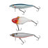 BERKLEY Pulse Pack minnow