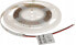 Taśma LED MW Lighting TAŚMA LED LED60-12V/6W-CW/5M 5 m - 16000 K MW Lighting