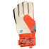 Фото #2 товара Вратарские перчатки Reusch Attrakt Solid в ярком красном и будущем синем