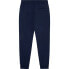 Фото #2 товара HACKETT Heritage Joggers