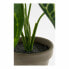 Фото #4 товара Декоративное растение Mica Decorations Caladium Ø 21 x 28 cm Искусственная